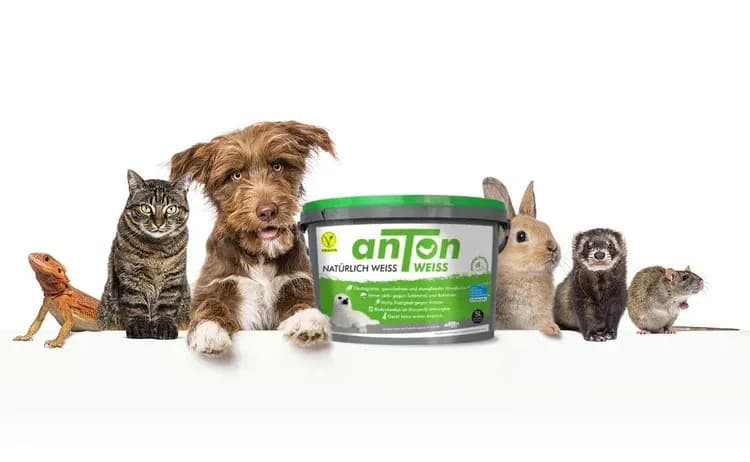 Ökologische Wandfarben online bestellen - Premium-Qualität ohne Tierleid